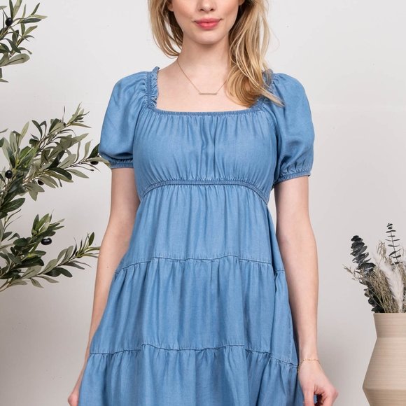 Chambray Midi - Picture 4 of 4